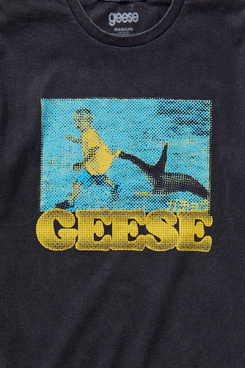 Geese Album Graphic Tee