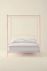 Connie Iron Canopy Bed