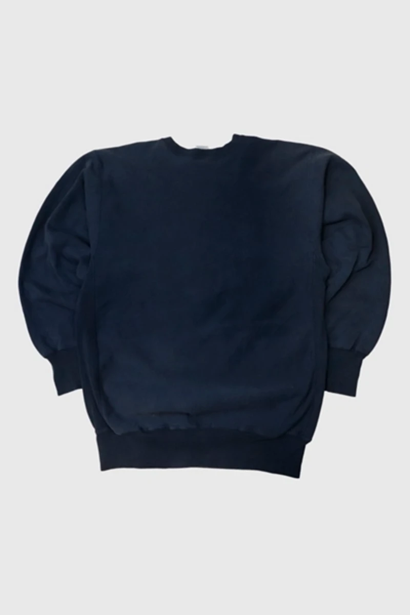 Vintage Champion Augustana Reverse Weave Sweatshirt