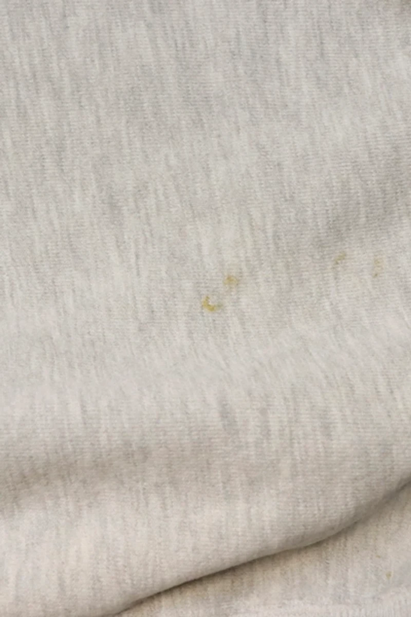 Vintage Champion Reverse Weave 90s Pirates Sweatshirt