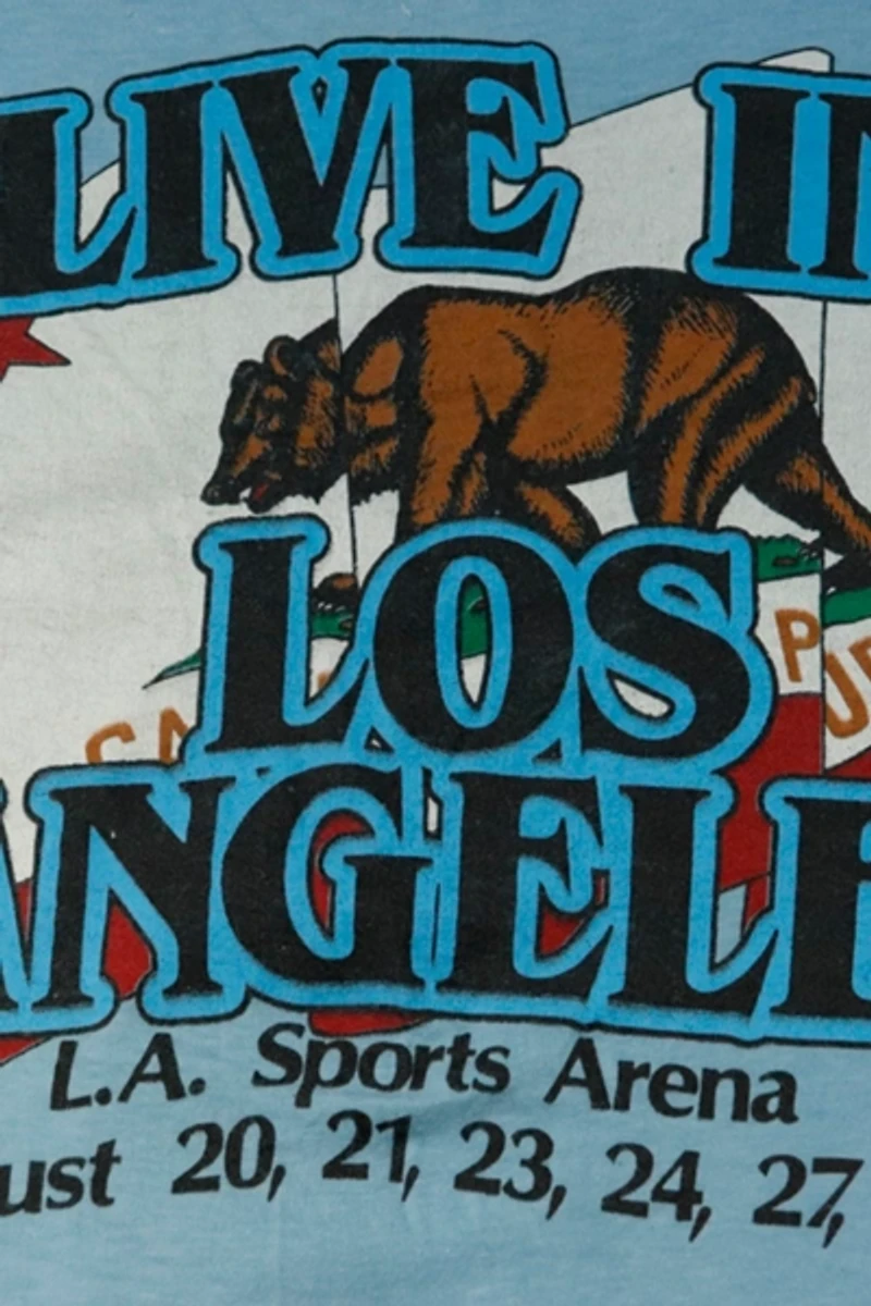 Vintage Bruce Springsteen & The E Street Band 1981 Graphic T-Shirt