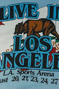 Vintage Bruce Springsteen & The E Street Band 1981 Graphic T-Shirt