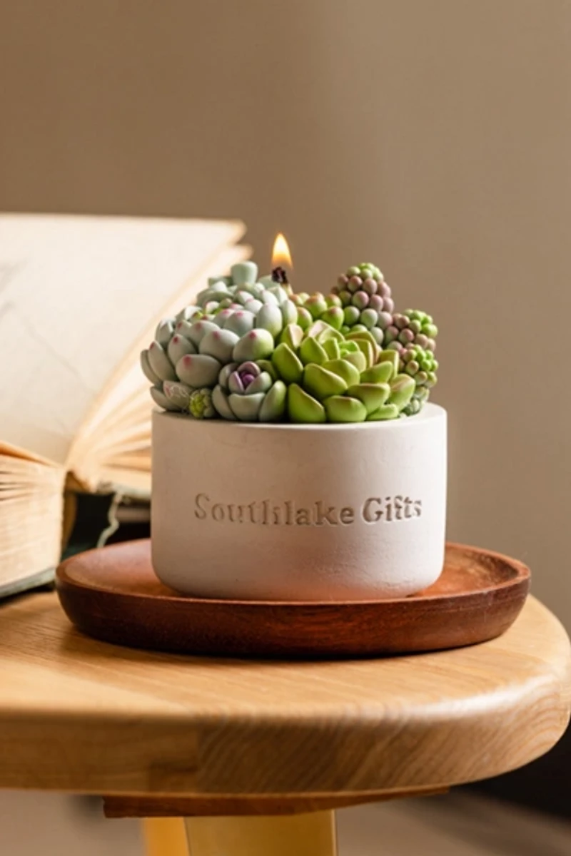 Southlake Gifts Assorted Succulent Candle