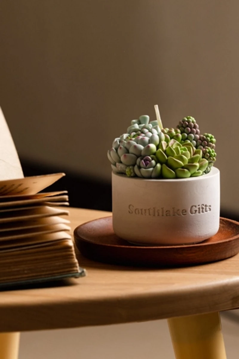 Southlake Gifts Assorted Succulent Candle