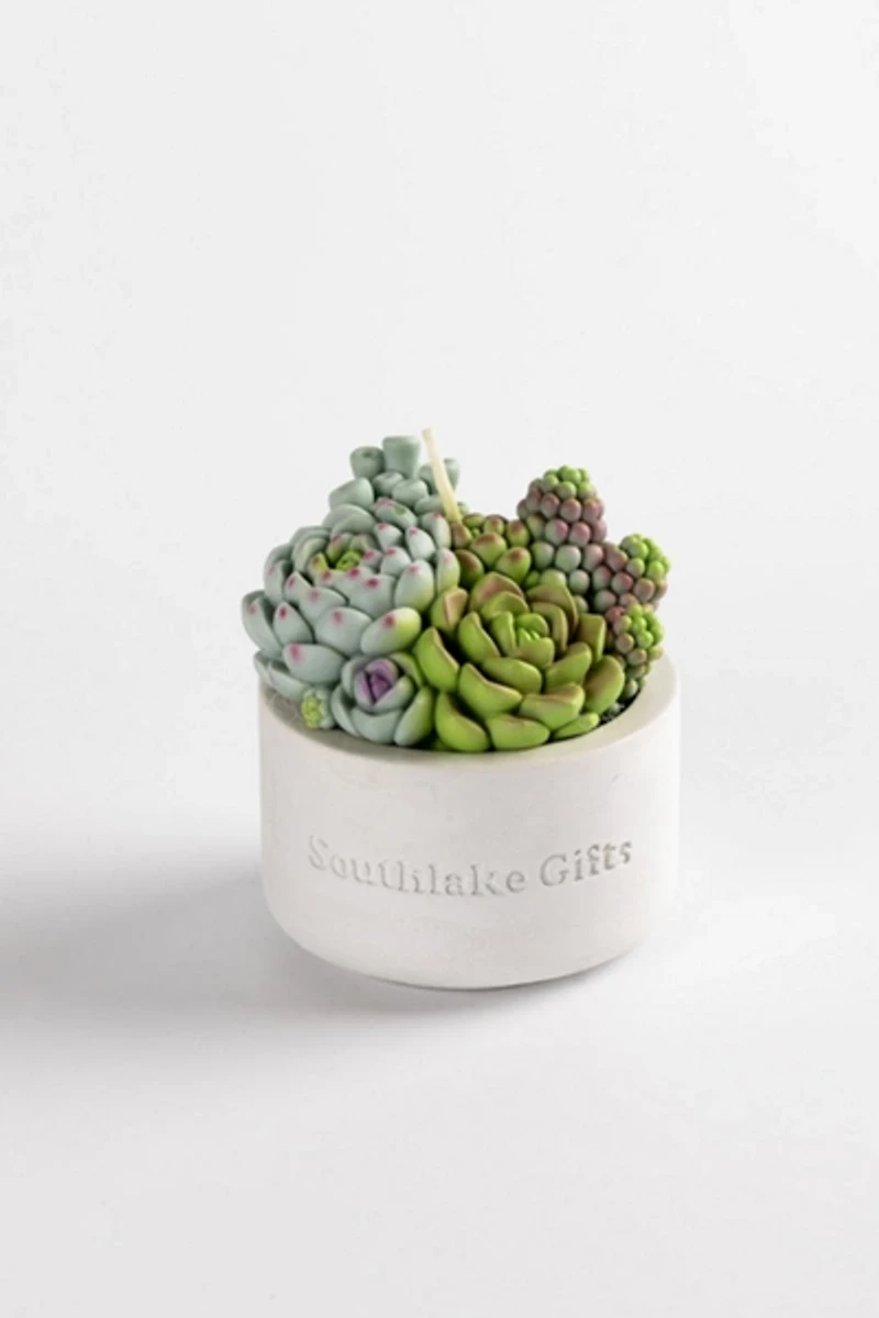 Southlake Gifts Assorted Succulent Candle
