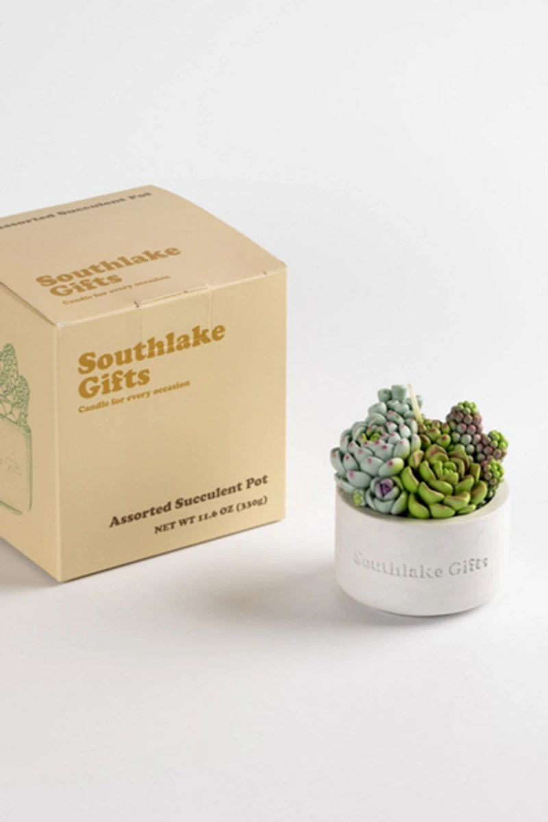 Southlake Gifts Assorted Succulent Candle