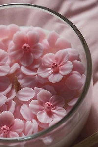 Southlake Gifts Cherry Blossom Sakura Candle Cup
