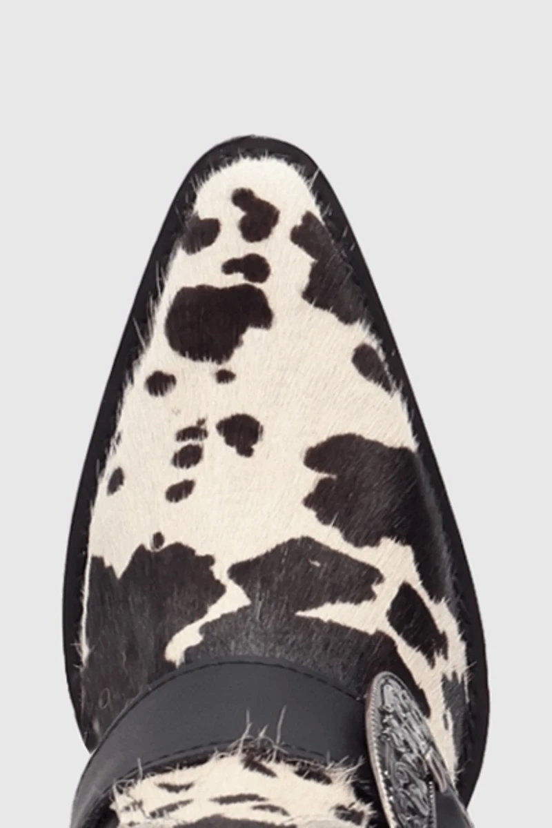 Dingo Spur Crazy Buckled Leather Cowboy Boot