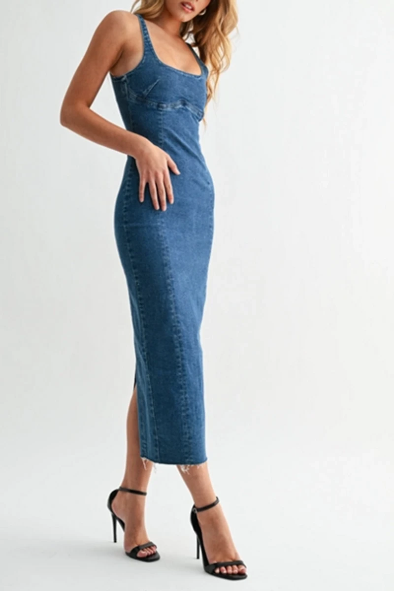 Jemina Seamed Denim Dress