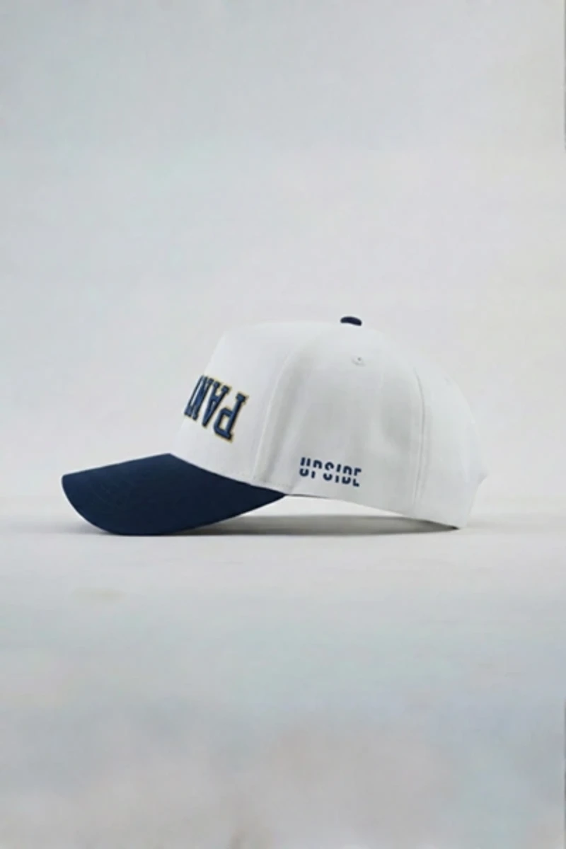 Upside Florida International University Panthers Hat