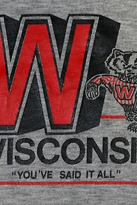 Vintage Dodger Wisconsin Graphic Hoodie Sweatshirt