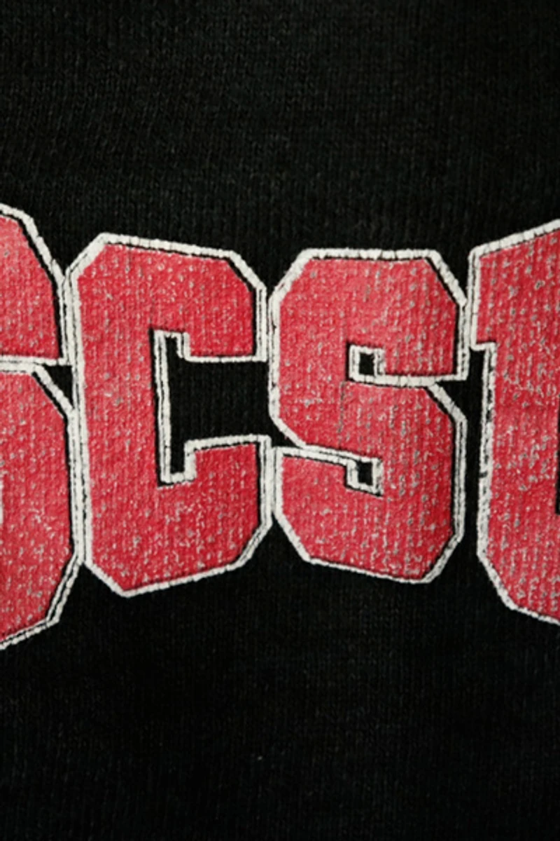 Vintage Hanes SCSU St. Cloud State University Graphic Sweatshirt