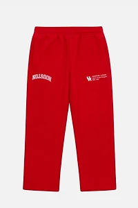 Upside Houston Cougars Sweatpants