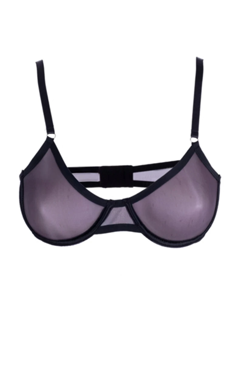 LECHERY® Lustrous Sheer Plunge Underwire Bra