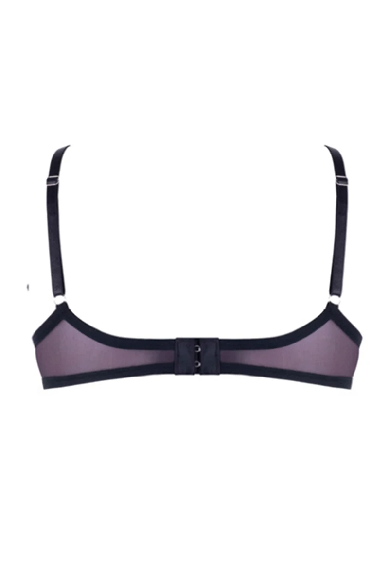 LECHERY® Lustrous Sheer Plunge Underwire Bra