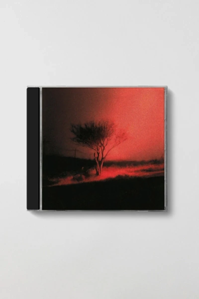 Joji - Piss In The Wind CD