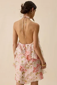 ASTR The Label Ofra Ruffle High Neck Halter Mini Dress