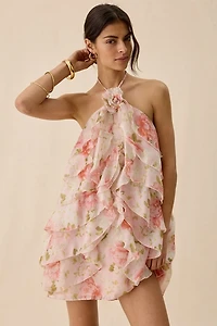 ASTR The Label Ofra Ruffle High Neck Halter Mini Dress