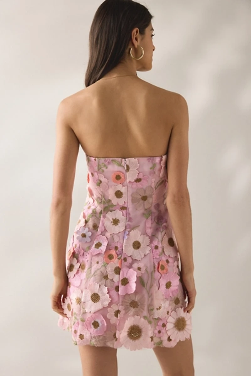 ASTR The Label Julisa Embroidered Floral Appliqué Strapless Mini Dress