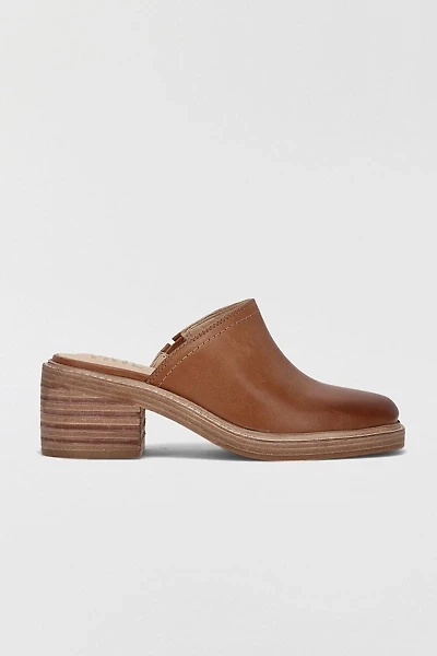 Frye Women's Kate Mules