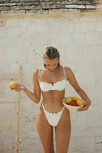 Dippin Daisys Lucca Cheeky Bikini Bottom