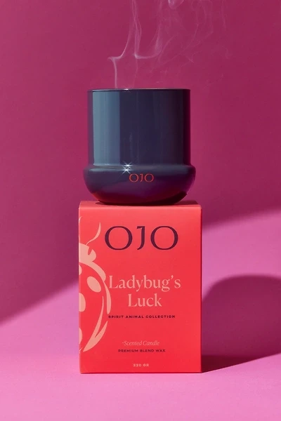 OJO Candles 8 oz Scented Candle