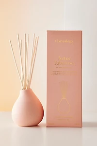 Osmology Fernweh Reed Diffuser & Fragrance Oil Set