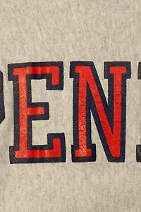 Vintage Ivy 80s Champion University of Pennsylvania Reverse Weave Crewneck Sweatshirt