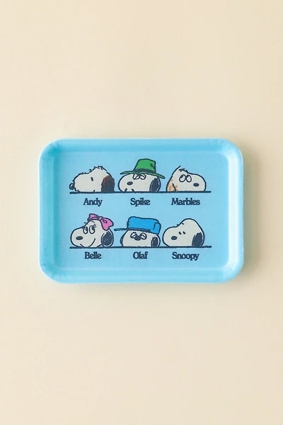 Three Potato Four X Peanuts Snoopy Siblings Trinket Tray