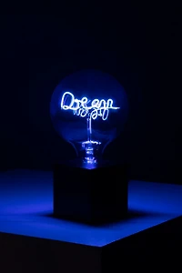 Echo Neon Dream LED Filament Lamp