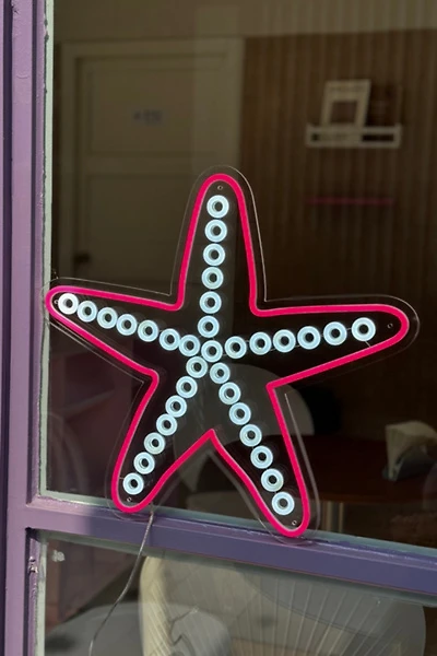 Echo Neon Starfish Neon Sign