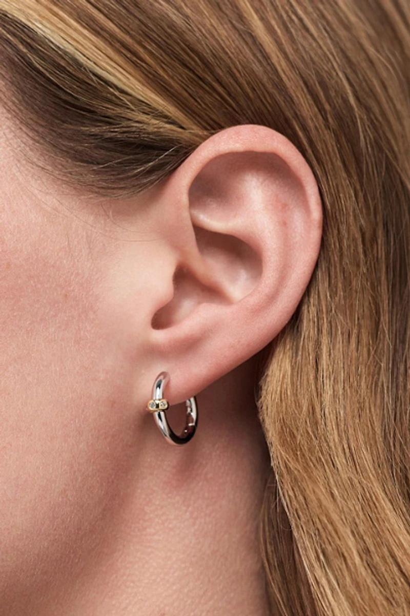 Ana Luisa Cyrus Silver Two Tone Earrings