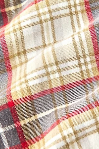 BDG Baggy Flannel Long Sleeve Shirt