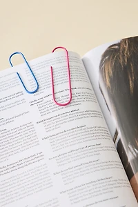 ban.do Giant Paper Clip Set