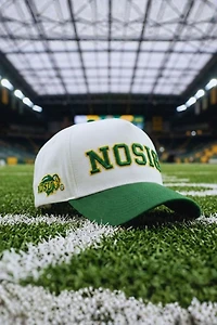 Upside North Dakota State Bison Hat