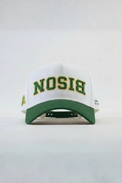 Upside North Dakota State Bison Hat