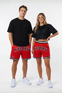 Upside San Diego State Aztecs Varsity Mesh Shorts