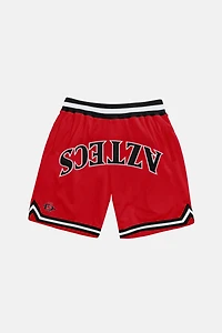 Upside San Diego State Aztecs Varsity Mesh Shorts