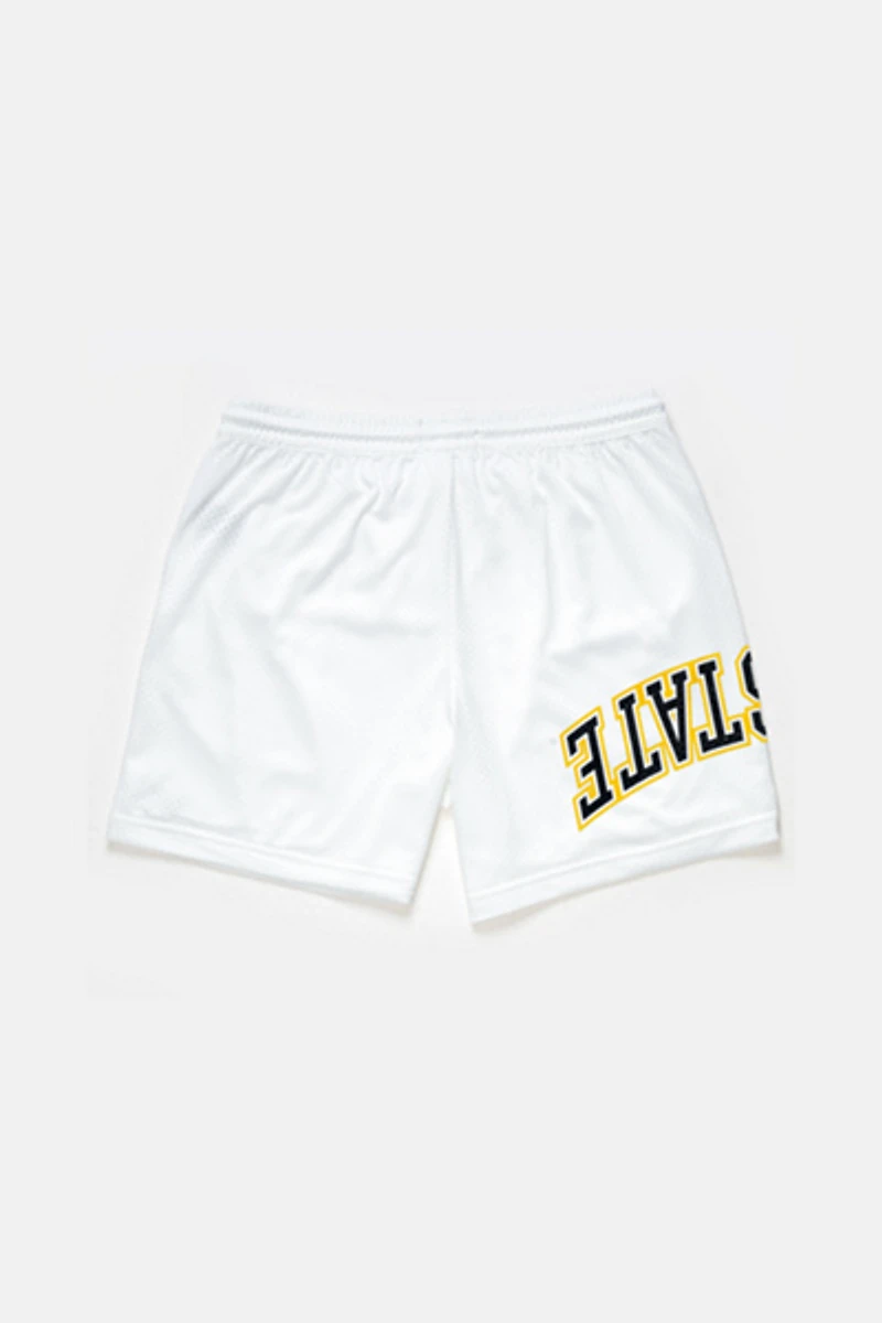 Upside App State Mountaineers Mesh Shorts