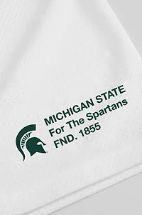 Upside Michigan State Spartans Mesh Shorts