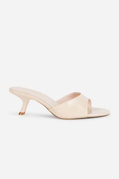 Intentionally Blank Given Mule Heel