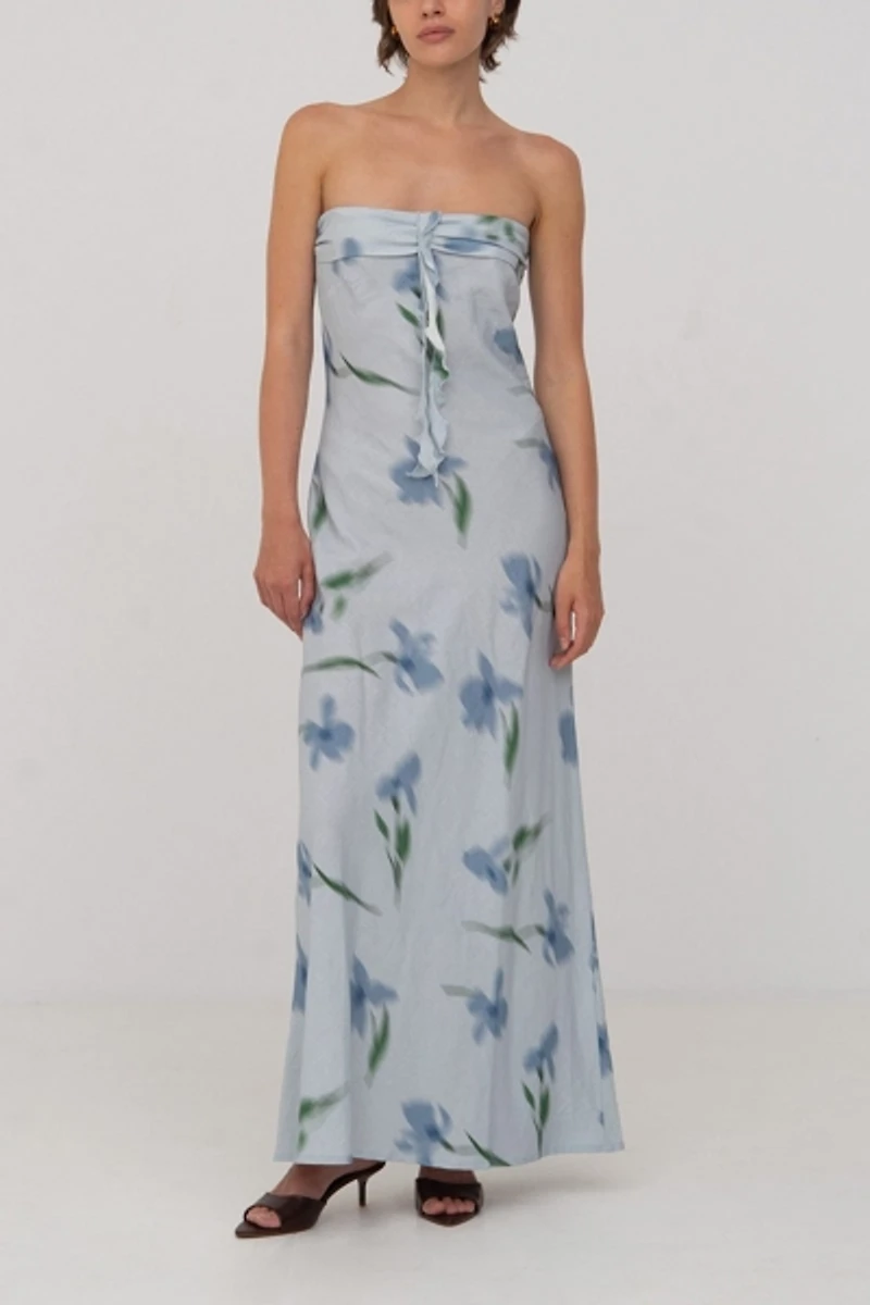 Carmen Says Blue Flower Print Dream Dress