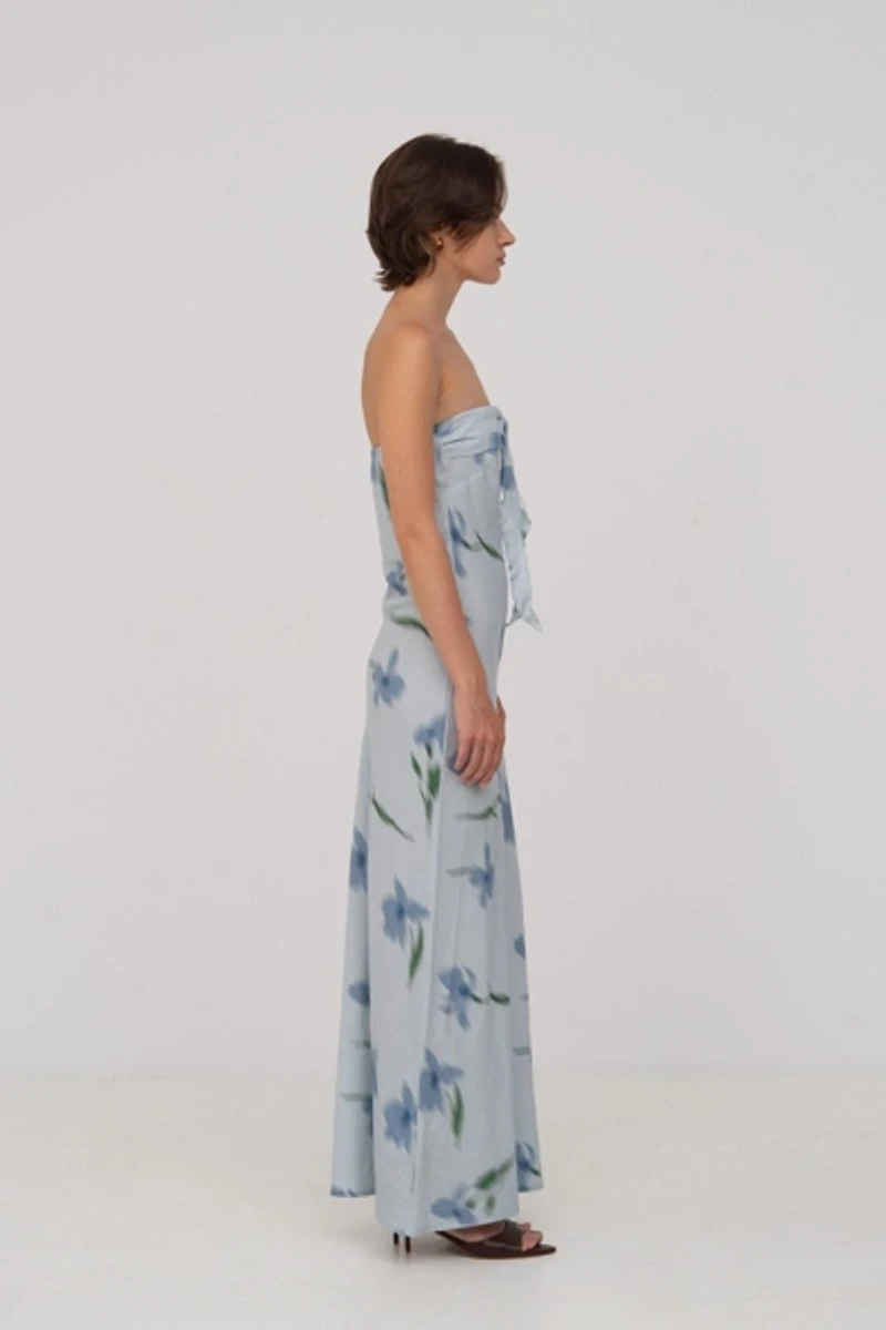 Carmen Says Blue Flower Print Dream Dress