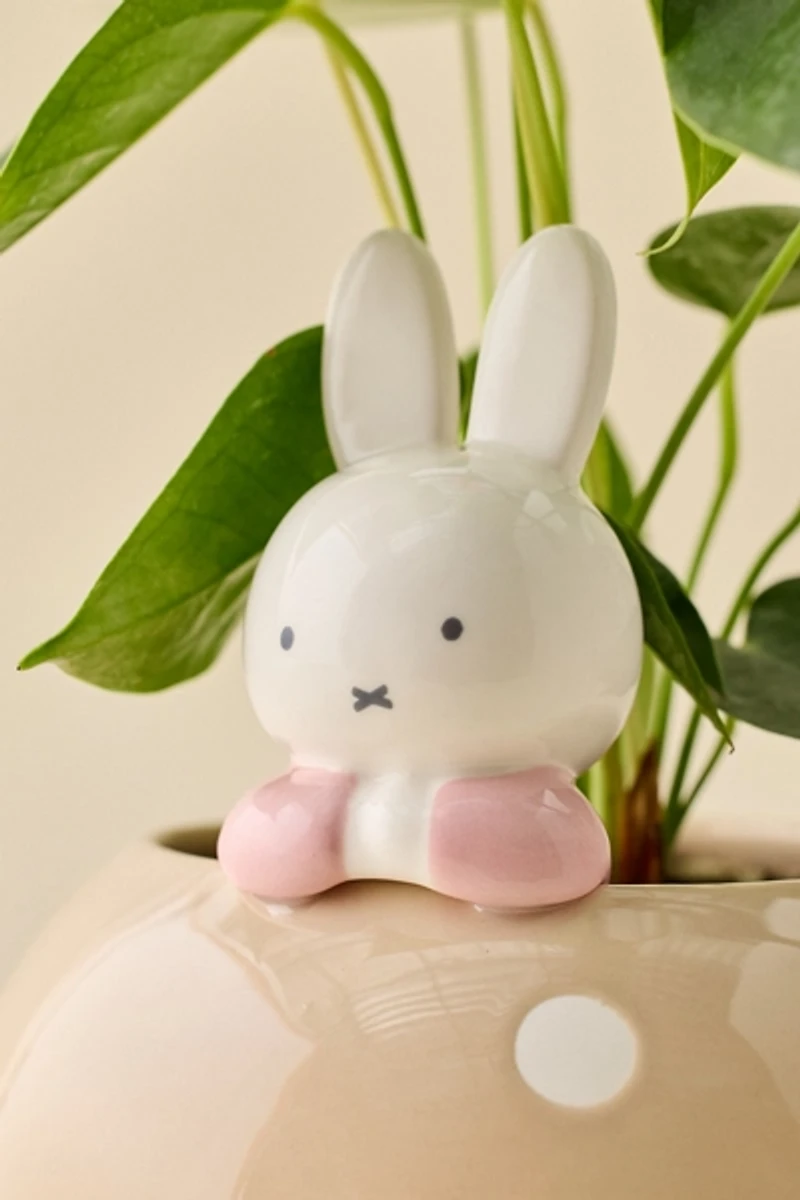 Miffy Peek-A-Bloom Beige Ceramic Planter