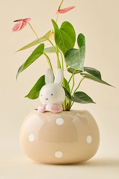 Miffy Peek-A-Bloom Beige Ceramic Planter