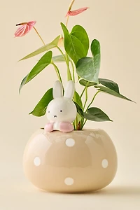 Miffy Peek-A-Bloom Beige Ceramic Planter