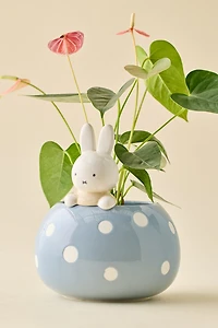 Miffy Peek-A-Bloom Blue Ceramic Planter