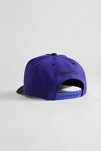 Mitchell & Ness MLB Tampa Bay Rays Pro Snapback Hat