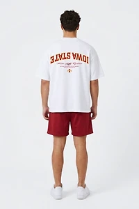 Upside Iowa State Cyclones Oversized Tee