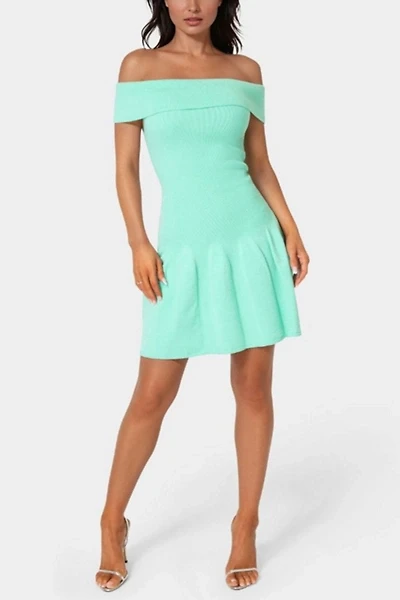 Bebe Off the Shoulder Fit and Flare Mini Dress